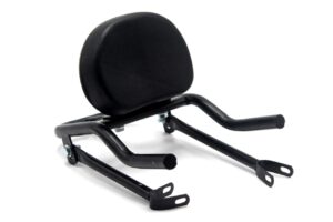 Backrest with Carrier